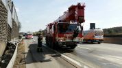 ffmelk17.jpg