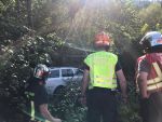 20200817_ffweiten.jpeg