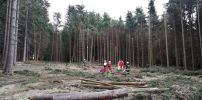 20190313_Hilfeleistung3.jpg