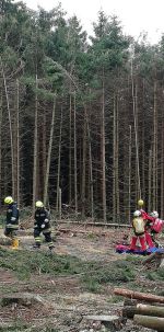 20190313_Hilfeleistung4.jpg