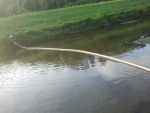 20150511_ffmannersdorf_7.jpg