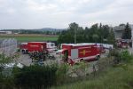 20180907_ffmelk_11.JPG