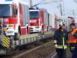 20151113_bfkmelk_4.JPG