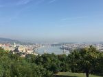 20170911_afkmelk_7.jpg