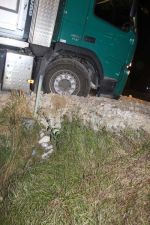 IMG_4207h_1.jpg