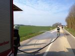 20160323_ffbrunnwiesen_7.jpg