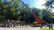 20210903_LKW058.jpg