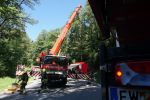 20210903_LKW064.jpg