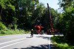 20210903_LKW076.jpg