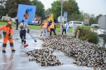 20140915_ffkemmelbach_4.jpg