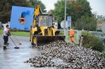 20140915_ffkemmelbach_5.jpg