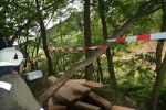 20160621_ffbrunnwiesen_2.jpg