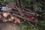 20150926_KHDBez035.JPG