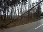 20150110_ffmank_8.jpg