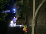 20180922_BE018.JPG