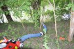 20180611_ffloosdorf_13.jpg
