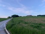 IMG-20220520-WA0051.jpg