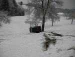 20161201_ffstleonhard_1.jpg