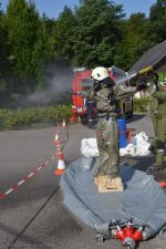 20170827_fftexing_4.jpg
