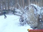 DSC05870.JPG