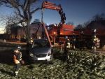 20170103_ffmelk_1.JPG