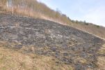 20140214_weiten_5.JPG
