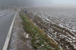 20160110_ffstleonhard_5.jpg