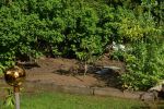 20160531_ffraxendorf_16.jpg