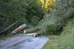 20150727_einsatzdoku_10.jpg