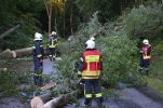 20150727_einsatzdoku_11.jpg