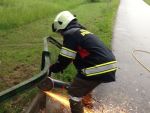 20150524_ffbrunnwiesen_3.jpg