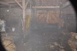 20140120_ffpoeggstall_12.JPG