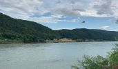 20230730_Donau_t2_2.jpg