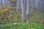 20141011_khd_mf_19.JPG