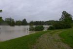 20140516_bfuest_14.JPG