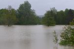 20140516_bfuest_15.JPG