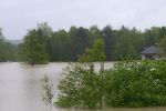 20140516_bfuest_16.JPG