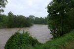 20140516_bfuest_17.JPG