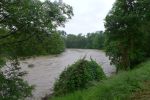 20140516_bfuest_18.JPG