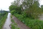 20140516_bfuest_6.JPG