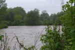 20140516_bfuest_7.JPG