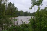 20140516_bfuest_8.JPG