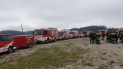 20190407_ffkirnberg_2.jpg