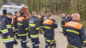 20190407_ffkirnberg_7.jpg