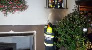 20180822_ffruprechtshofen_19.jpg