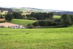 20140920_ffbrunnwiesen_1.jpg