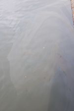 20140228_Oeleinsatz009.JPG