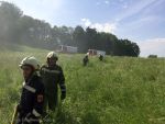 20160527_fftexing_4.jpg