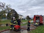 20241005_105553_Mittel.jpg