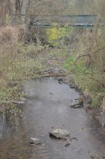 20140406_ffseiterndorf_1.JPG